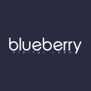 Blueberry Labs